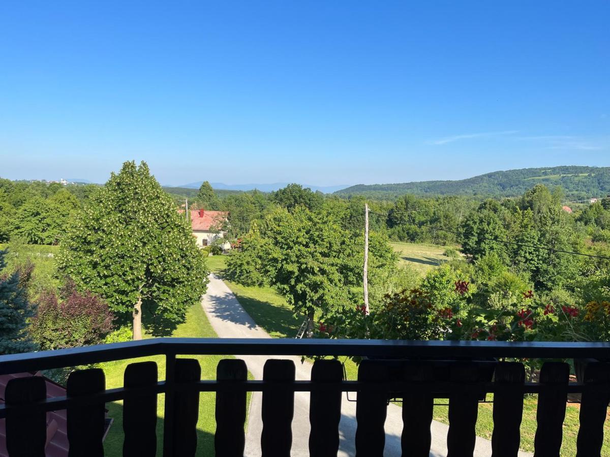 Guesthouse Hodak Seliste Dreznicko Exterior foto