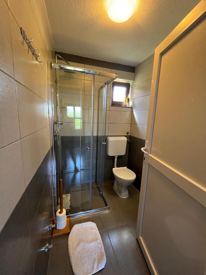 Guesthouse Hodak Seliste Dreznicko Exterior foto